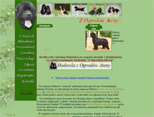 Tablet Screenshot of nowofundlandy.pl